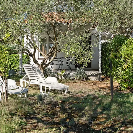 Apartment Apartment Vesela-4 By Interhome *